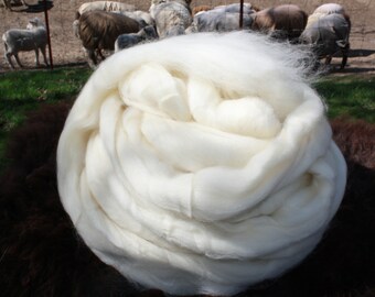 Montana Corriedale!! 8 oz. Combed Top Roving