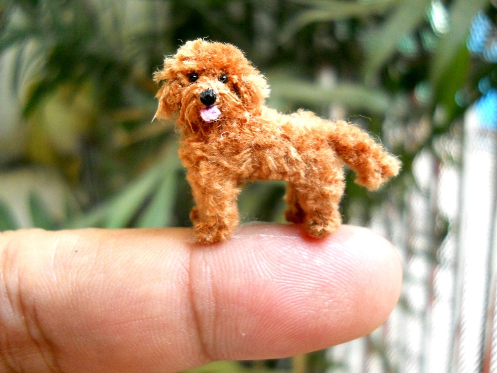 brown labradoodle stuffed animal