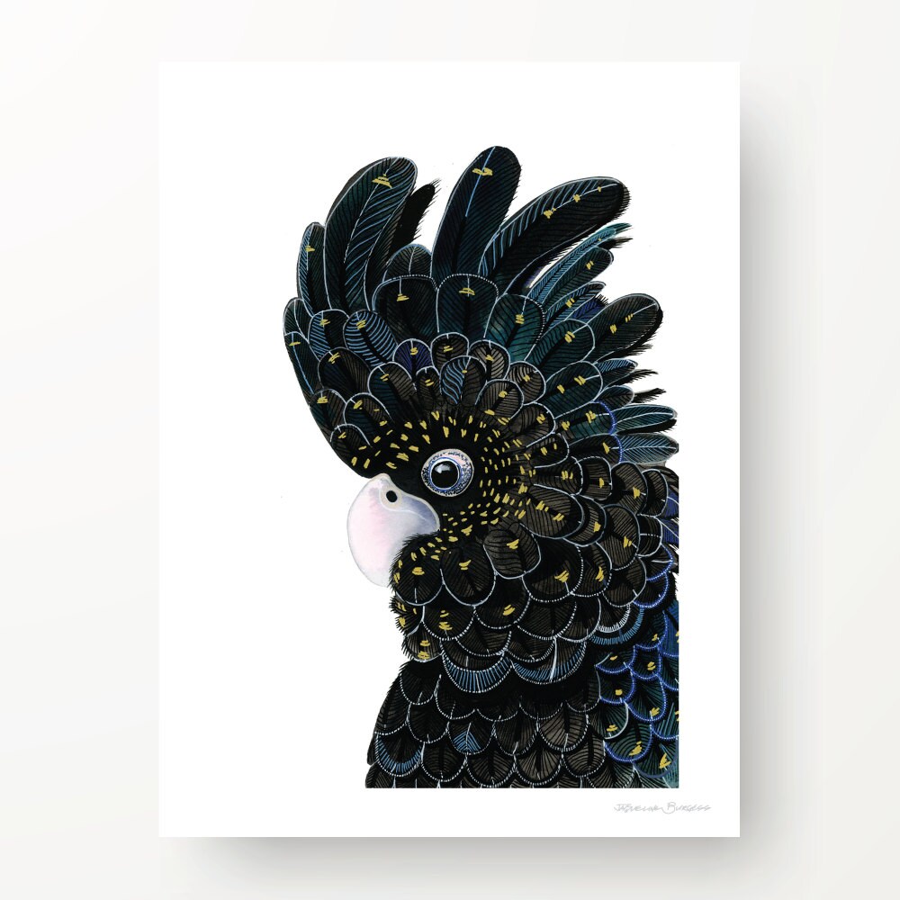 BLACK COCKATOO watercolour print A4 size