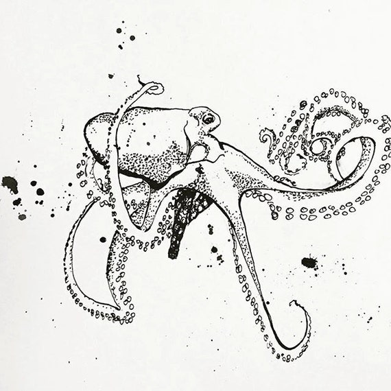 Octopus in Black Ink Sketch Ink Drawing Pen and Ink Black