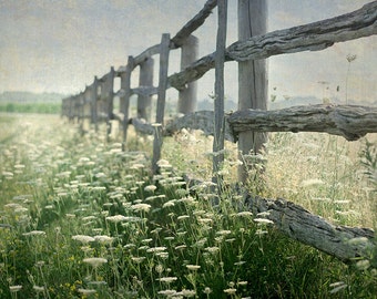 Country Photography, Rustic Wall Decor, Landscape Photograph, Farmhouse Art, Nature Print, Green and Brown Picture