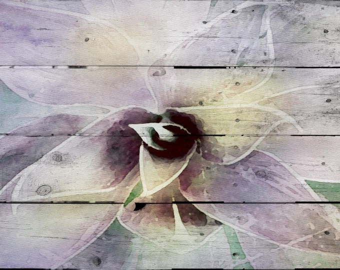 Succulent. Overlapping, purple. Canvas Print by Irena Orlov