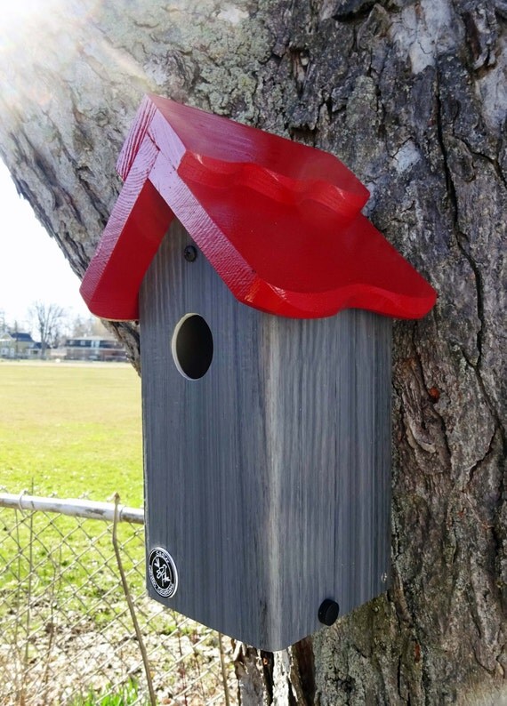 Bluebird house PVCcedar woodoutdoor birdhousefully