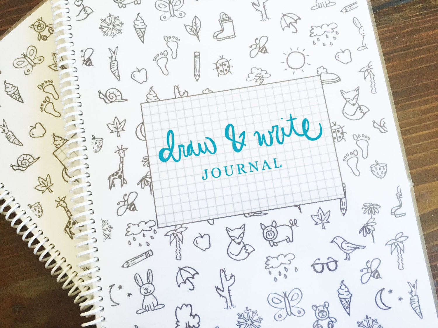 Draw and Write Journal