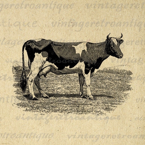 Antique Cow Printable Digital Download by VintageRetroAntique