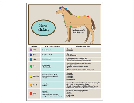 Printable Chart Guide Equine Horse Chakra by EarthChiJewelry