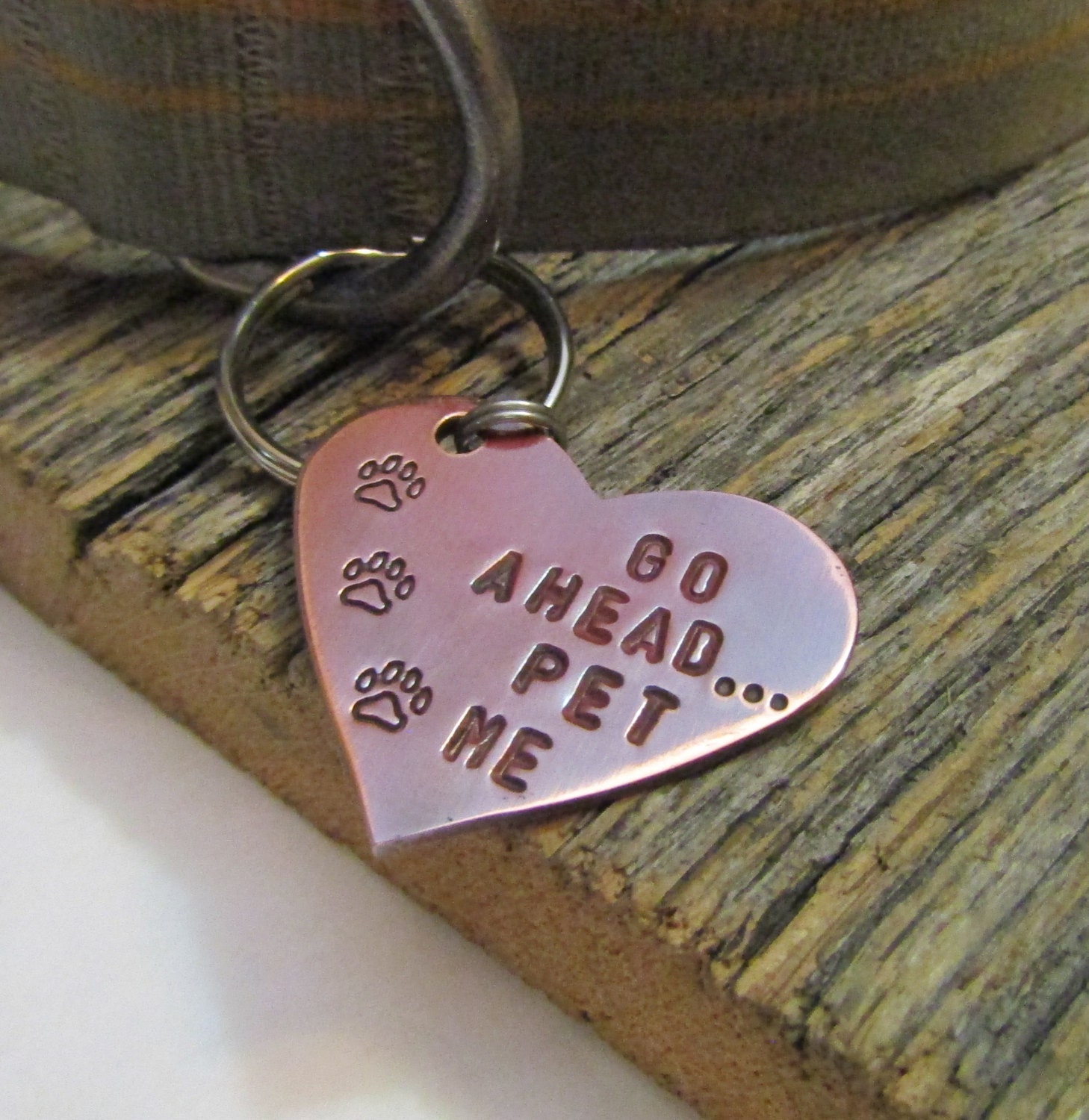 Funny Dog Collar Fun Pet Tag Small Dog Copper Dog Tag Boy Pet