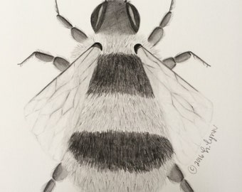 Items similar to Jupiter and the Bee print by emma sancartier on Etsy
