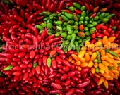 Colorful Peppers Photo Fine Art Photography Instant Digital Download Digital File Kitchen Decor Fun Splash of Color Colorful Peppers Photo Fine Art Photography Instant Digital Download Digital File Kitchen Decor Fun Splash of Color