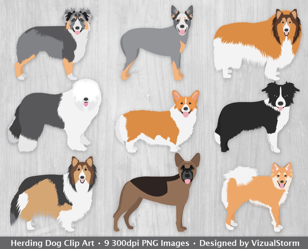 south australian german shepherd breeders herding dogs clipart digital dog graphics herding dog breeds south australian german shepherd breeders herding dogs clipart digital dog graphics herding dog breeds