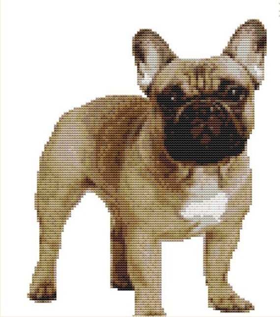 cross stitch kit french bulldog 19cm x 23 cm