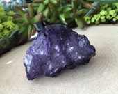 Muzquiz / Cubic Fluorite Mineral Specimen / Display