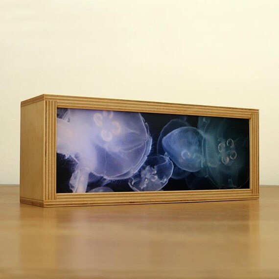 LED Photo ColorChanging Light Box by WeMakeLight on Etsy