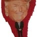 Donald Trump pinata/ Republican party/Presidential campaign