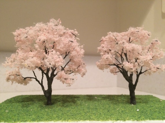 1 4 or 3 5 miniature tree cherry blossom tree 1 4 or 3 5 miniature tree cherry blossom tree