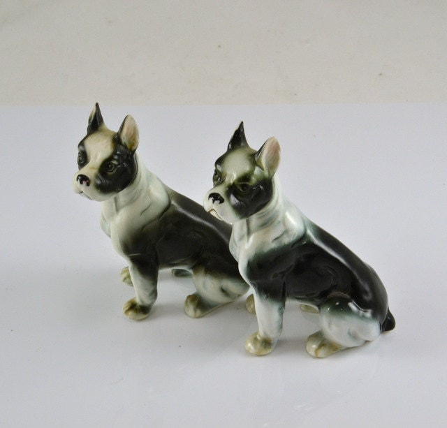 porcelain boston terrier