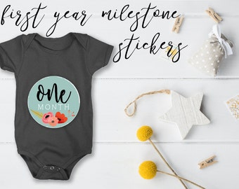 Baby Month Stickers, Baby Shower Gift, Milestone Stickers, Monthly Stickers, Monthly Baby Sticker, Baby Stickers, Baby Month Sticker,
