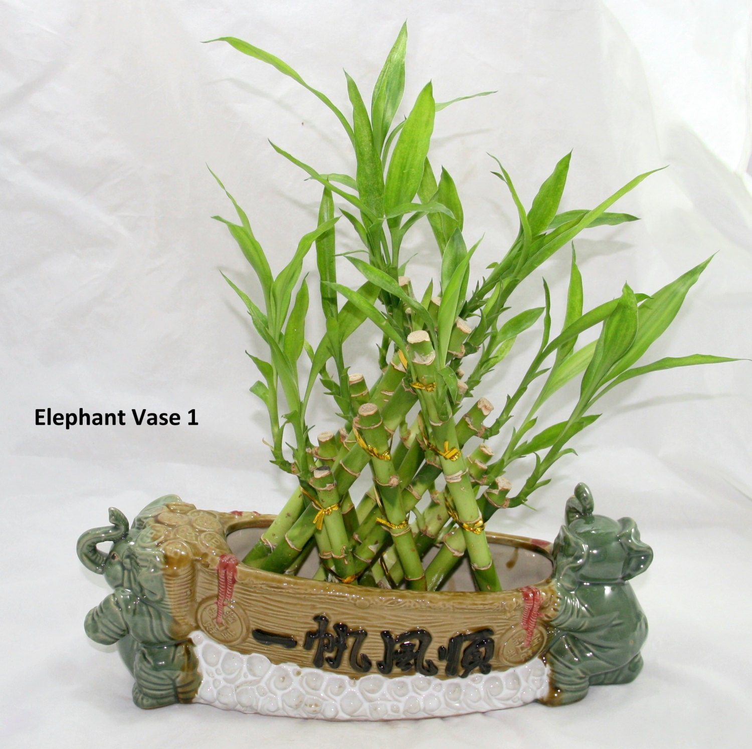3 Layer Pyramid Braided Lucky Bamboo Plant