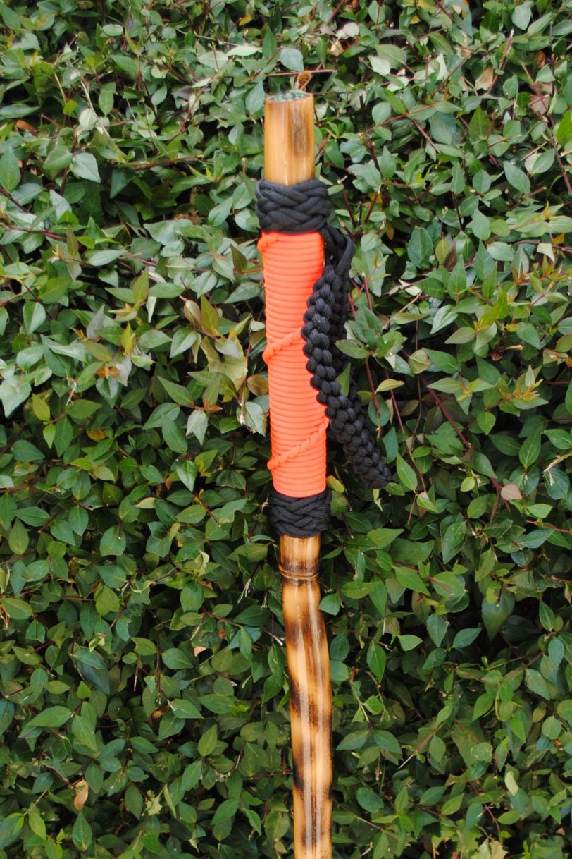 Bamboo Walking Stick