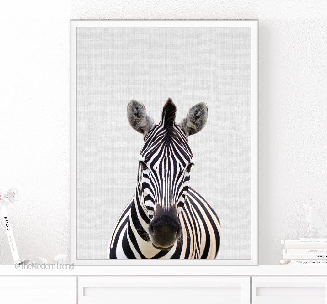 Zebra Wall Art Zebra Print Animal Photo Animal Print