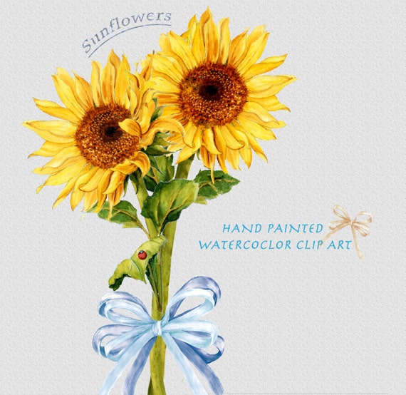 Sunflower Watercolor Clipart Summer Flower Vibrant Wedding
