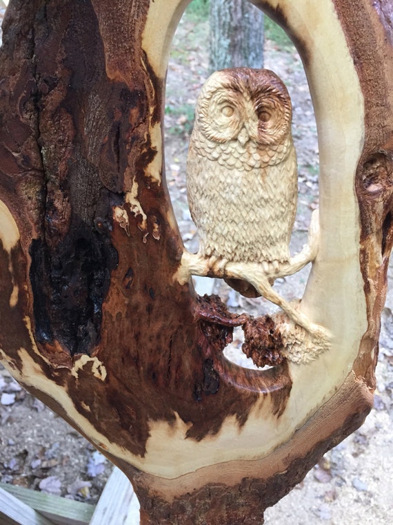 Barred Owl Tree Scene Wood Carving Wood Sculpture by Josh