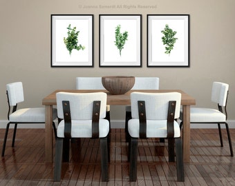 Thyme Kitchen Art Print, Set of 3 Watercolor Painting, Green Wall Decor, Medicinal Herbs Chart, Thyme Illustration Gift Idea for Women