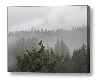 Blue Heron, Wall Art, Canvas Art, Pacific Northwest, Misty Photograph, Large Art, Landscape Photograph, Nature Photography, Bird Photograph