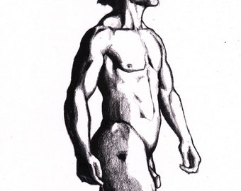 Life drawing, nude original colour pencil art,nude male model drawing, contemporary art, wall art,nude drawing, life model,minimalist nude
