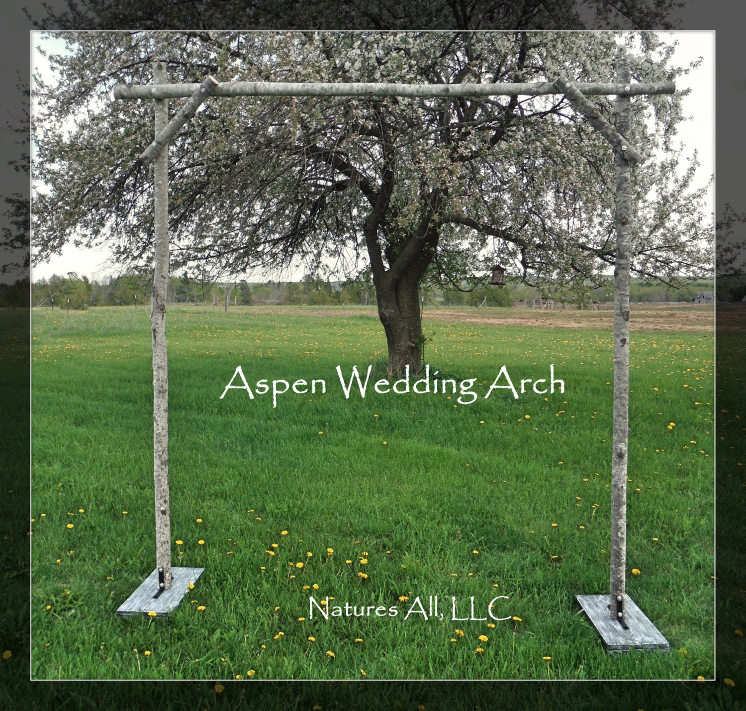 75 Ft White Metal Arch For Wedding Party Bridal Prom Garden Floral