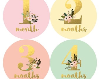Baby Girl Monthly Sticker, Baby Sticker, Monthly Baby Sticker Girl, Gold Floral, Milestone Sticker, Baby Gift, Baby Girl, Petite Folio