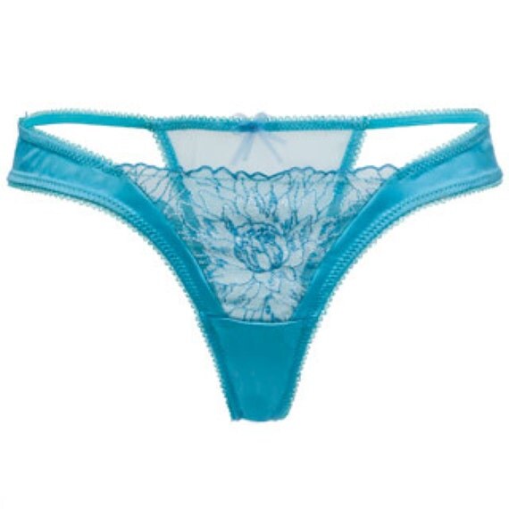 Items similar to Italian Satin Embroidered Sheer Thong Panty Blue ...