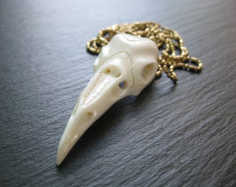Bird Skull Necklace Pendant Brass Chain . Natural Bone Carving Jewelry . Raven Crow Magpie Skull . Goth Chic Steampunk . Organic Natural