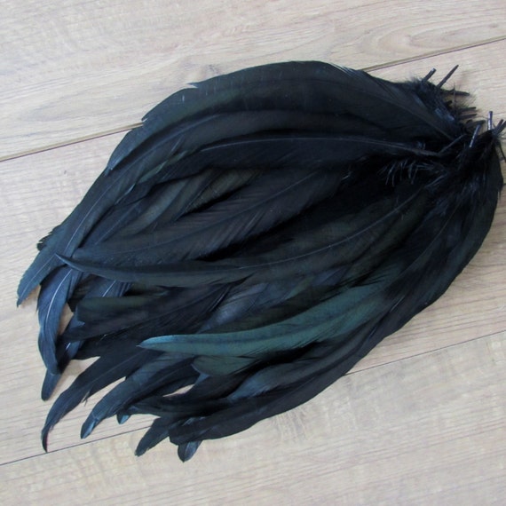 Black Feathers Rooster Tail Feathers