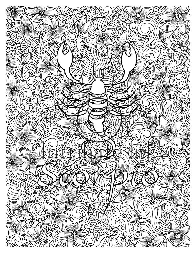 Scorpio Coloring Page Zodiac Sign Birtday Month October
