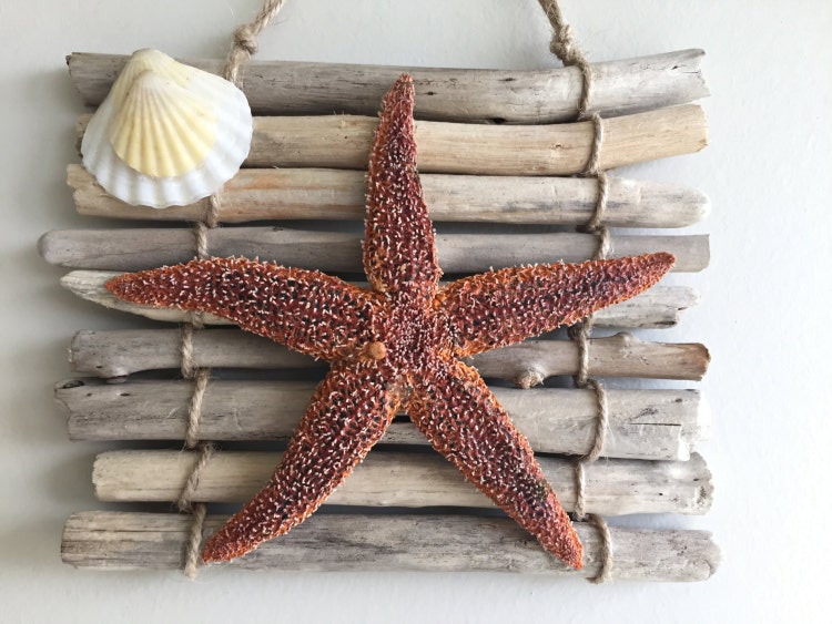 Starfish Wall Hanging/ Beach Decor/ Driftwood Wall by SerayDesign