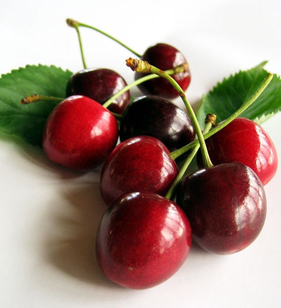 Fresh Washington State Sweet Cherries