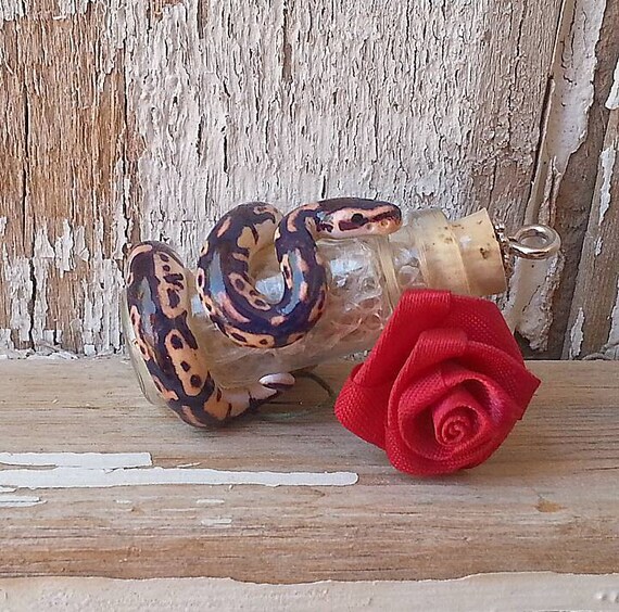 Normal Ball Python Charm Royal Python by SnakeCharmedBoutique