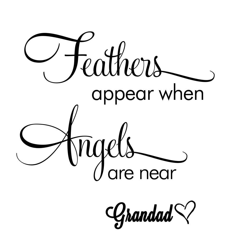 Free Free Feathers Appear When Angels Are Near Svg Free 756 SVG PNG EPS DXF File