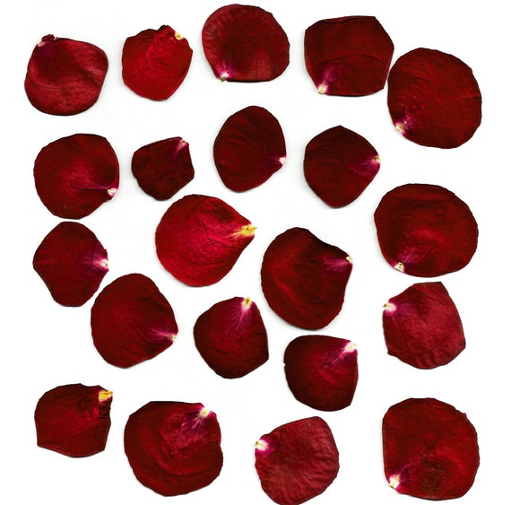 Dried Pressed Rose Petals set of 10 Red Petals for Pressed