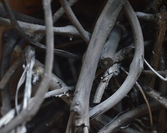 Vine Charcoal for Sketching and Drawing