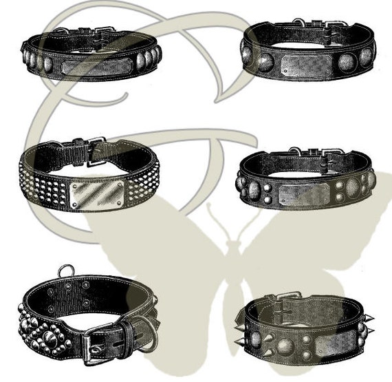 Printable Dog Collar Printable Word Searches