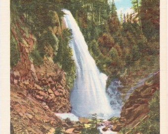 Narada Falls, Rainier National Park - Vintage Postcard - Postcard - Unused (A10)