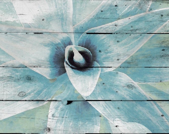 Gray-blue Succulent.. Canvas Print by Irena Orlov