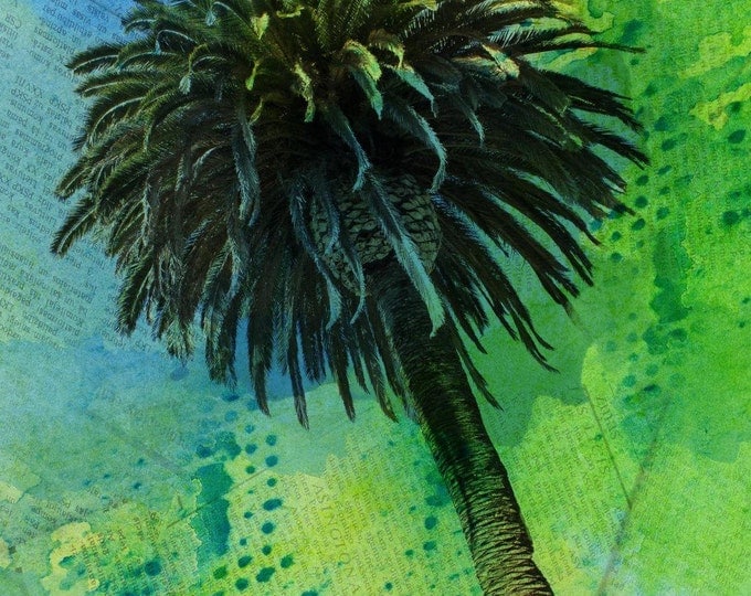 Palm tree tropical. Canvas Print by Irena Orlov 40x30"