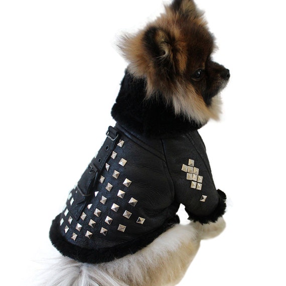 Leather Shearling Studded Luxury Dog Coat Jacket Black