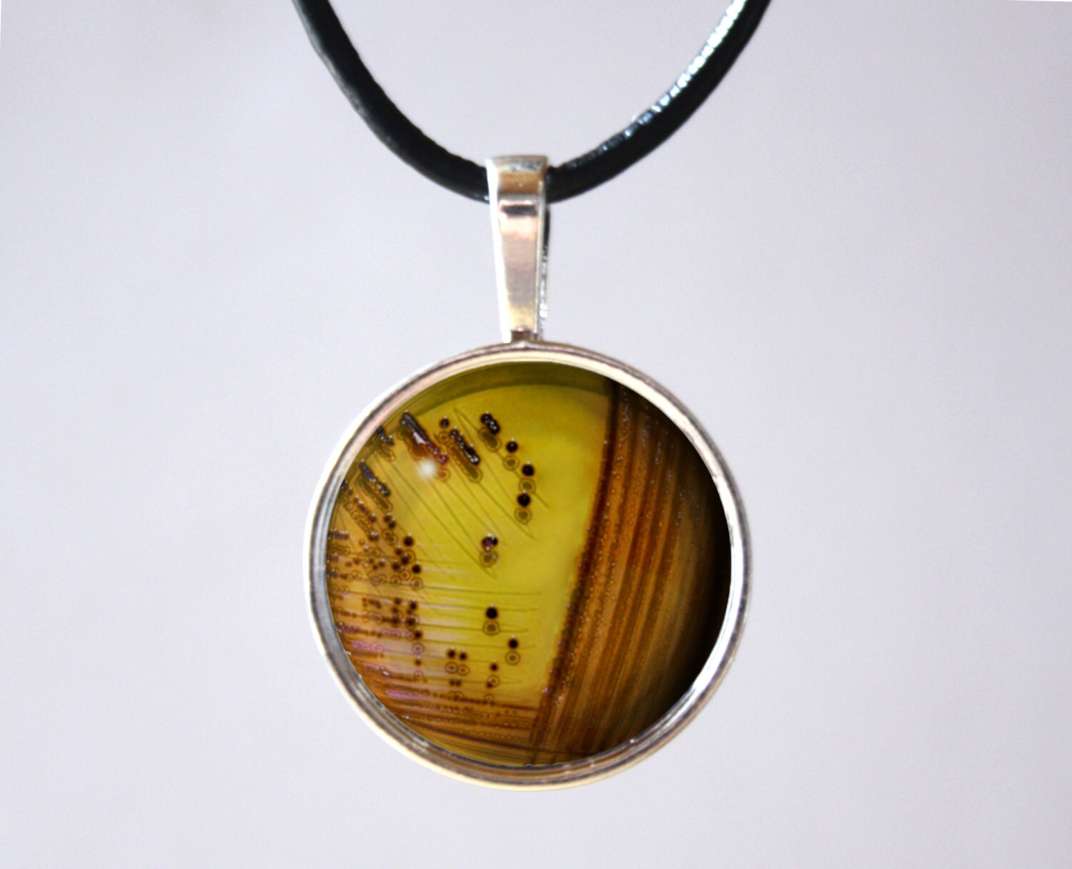 Microbiology Bacteria Necklace Bacterial Culture by LadyAndTheLion