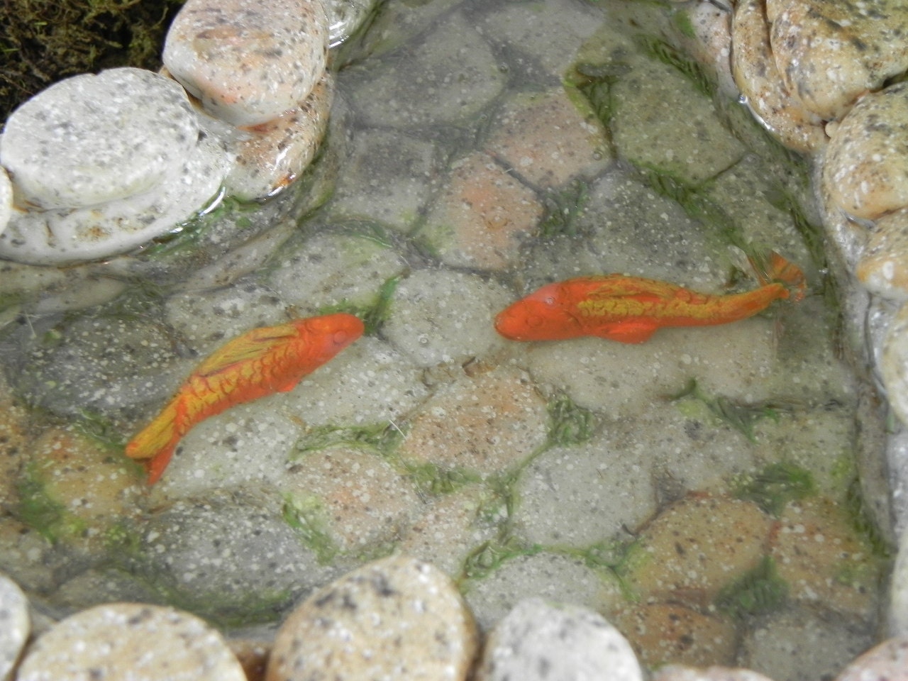 Fairy Garden Koi Pond miniature with artificial water