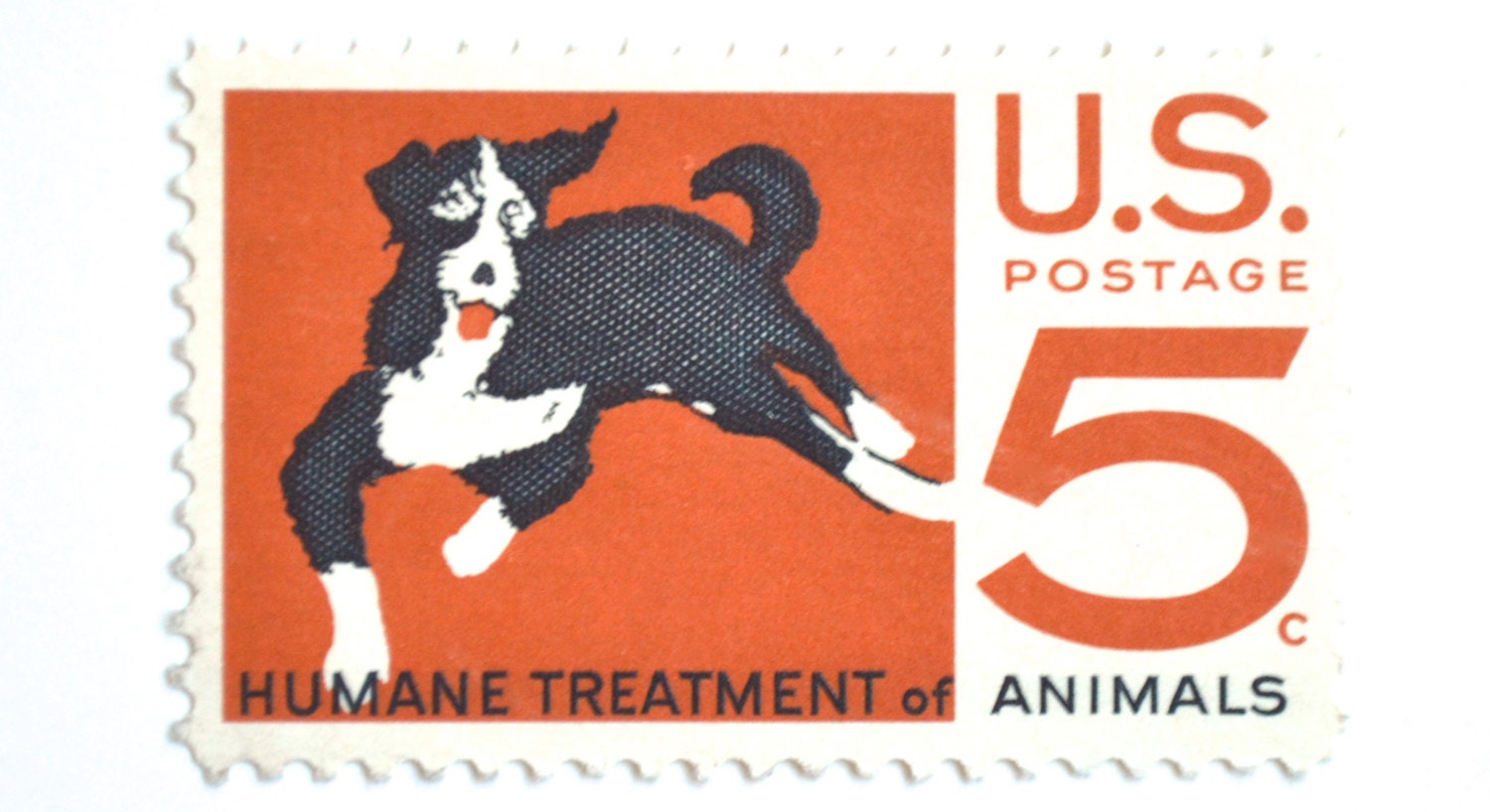 10 Unused Dog Postage Stamps // Humane Treatment of Animals