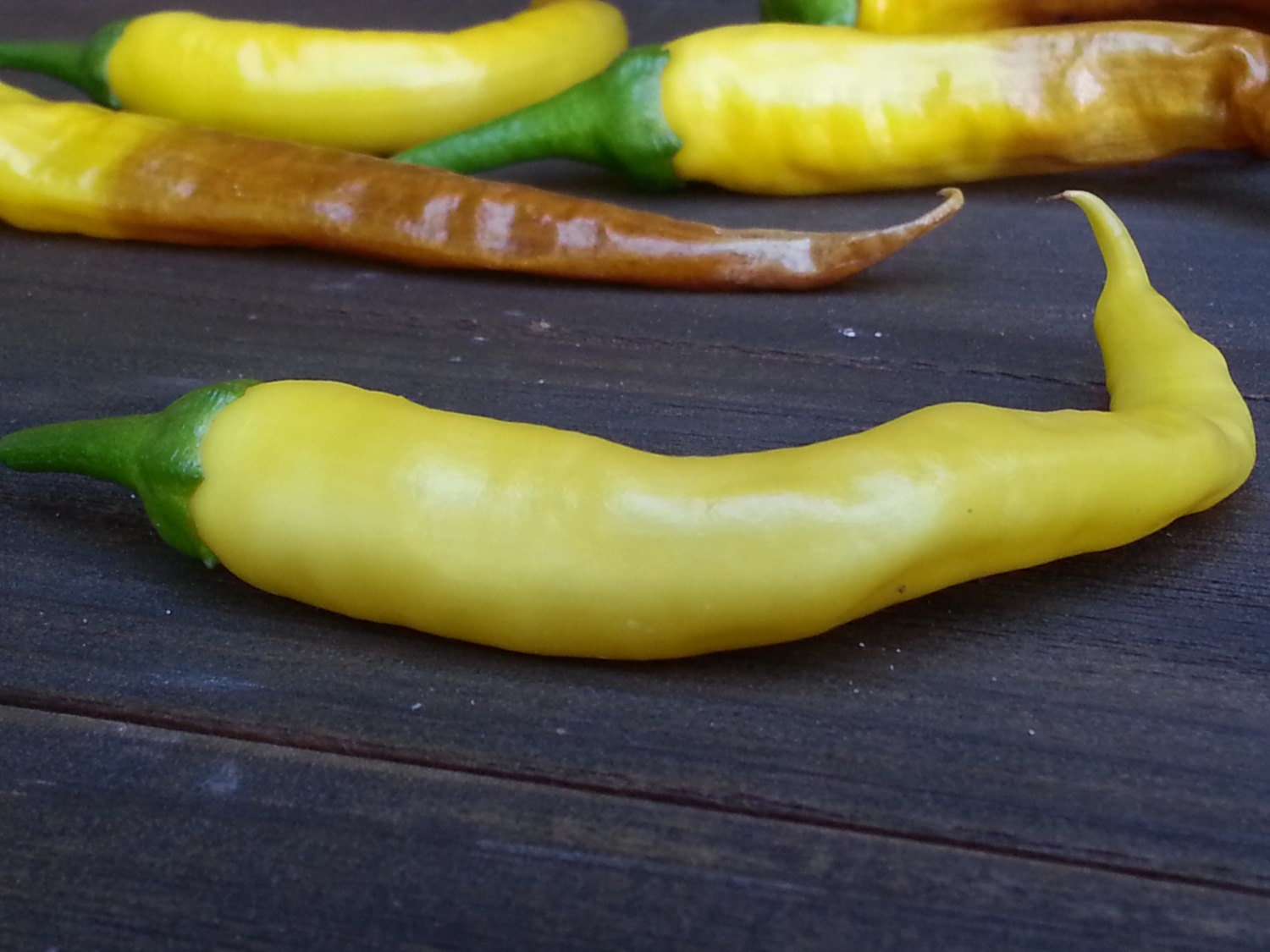 Yellow Cayenne Hot Chili Pepper rare seed vegetable seeds
